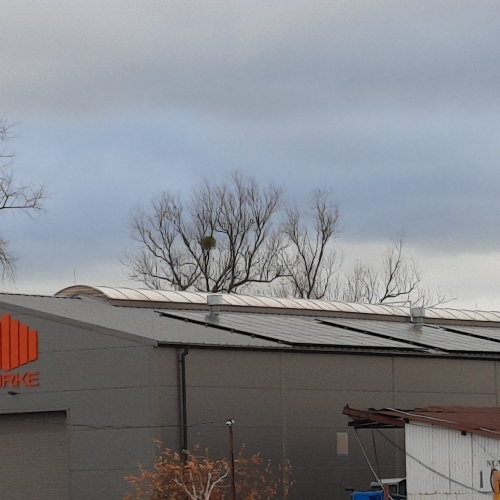 Płock / Kostrogaj 49.665 kw