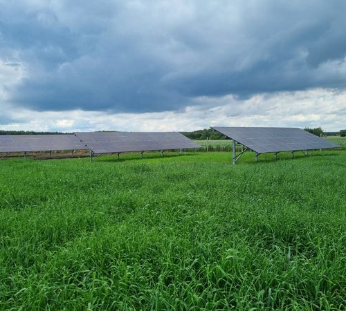 Podgrodzie 46.2 kw